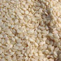 Chinese Sesame Seed